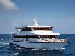 Maldives Liveaboard - Conte Max.